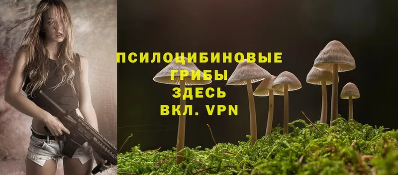 KRAKEN как войти  Вилючинск  Псилоцибиновые грибы Psilocybe 